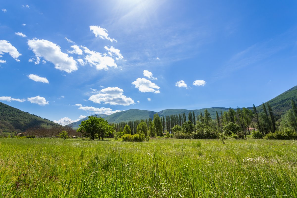 Escursione al Monte Vermenone, Tra Immense Praterie e Faggete Secolari