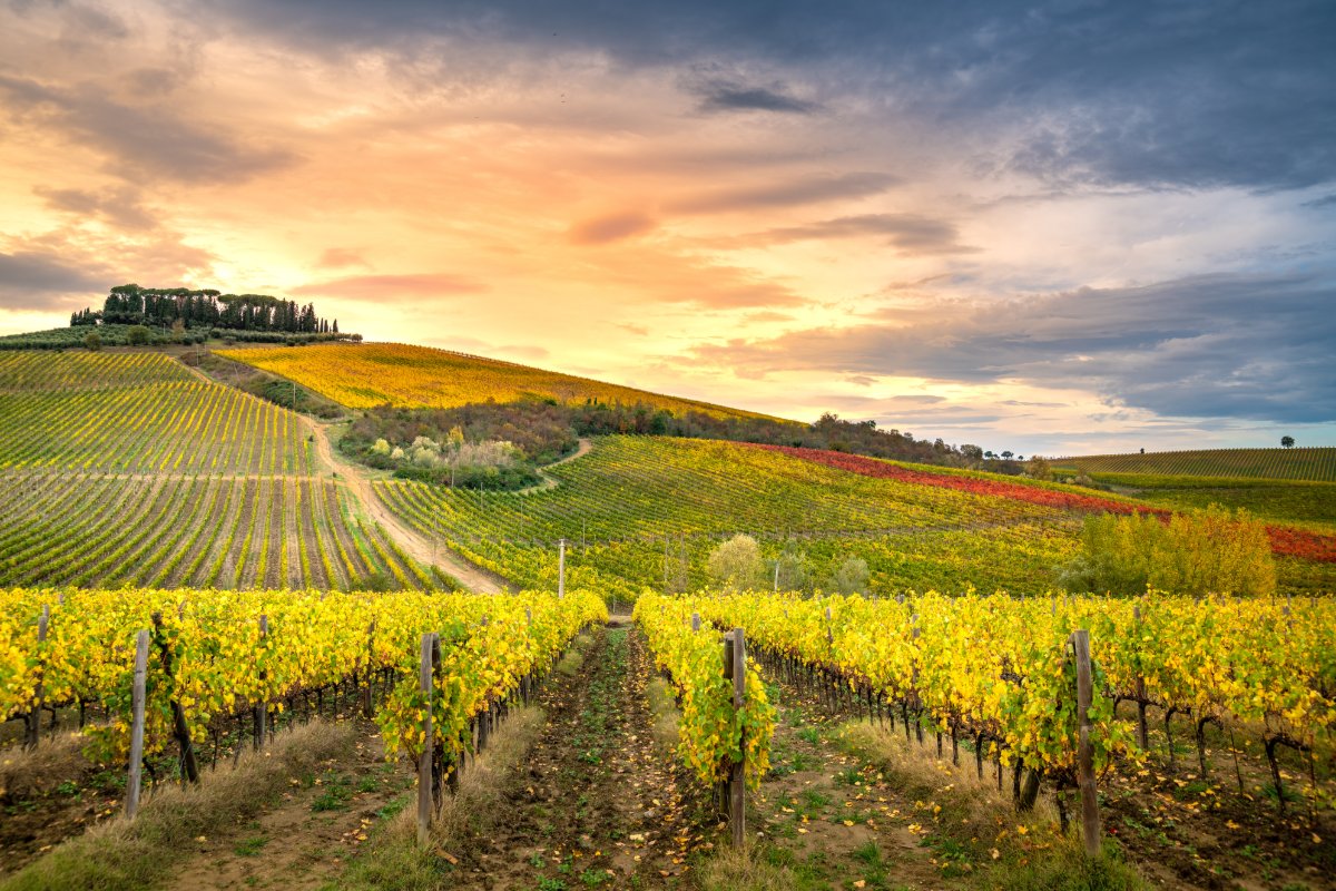 Tre Giorni nelle Terre del Chianti: Esperienza tra Antiche Borgate, Natura e Tradizioni (CAMERA SINGOLA)