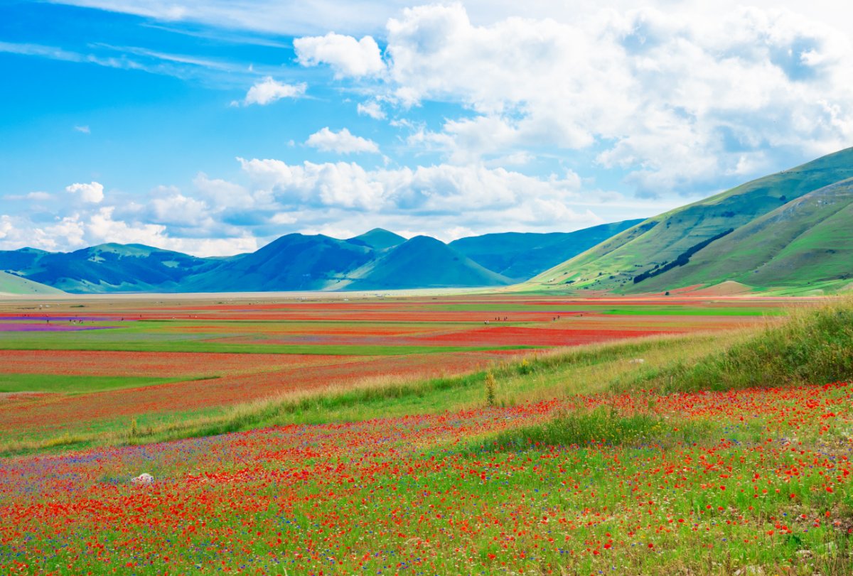 La Fioritura a Castelluccio di Norcia: viaggio in bus da Verona